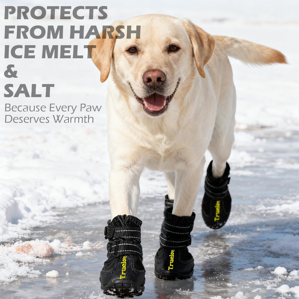 EXPAWLORER adjustable two-strap design ensures easy on/off and a snug fit.
