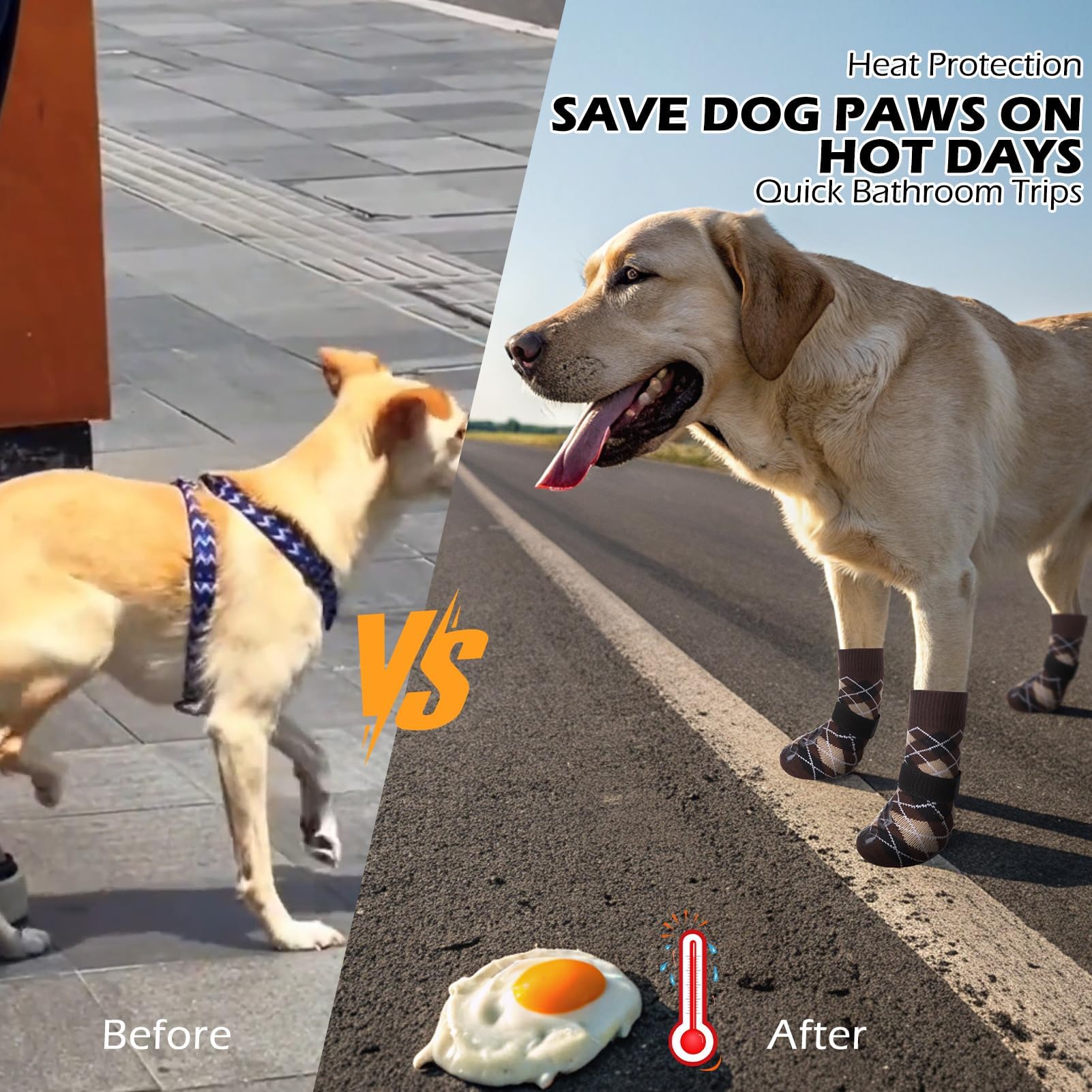 EXPAWLORER dog-socks 4-pcs-pack highlights convenient everyday protection.