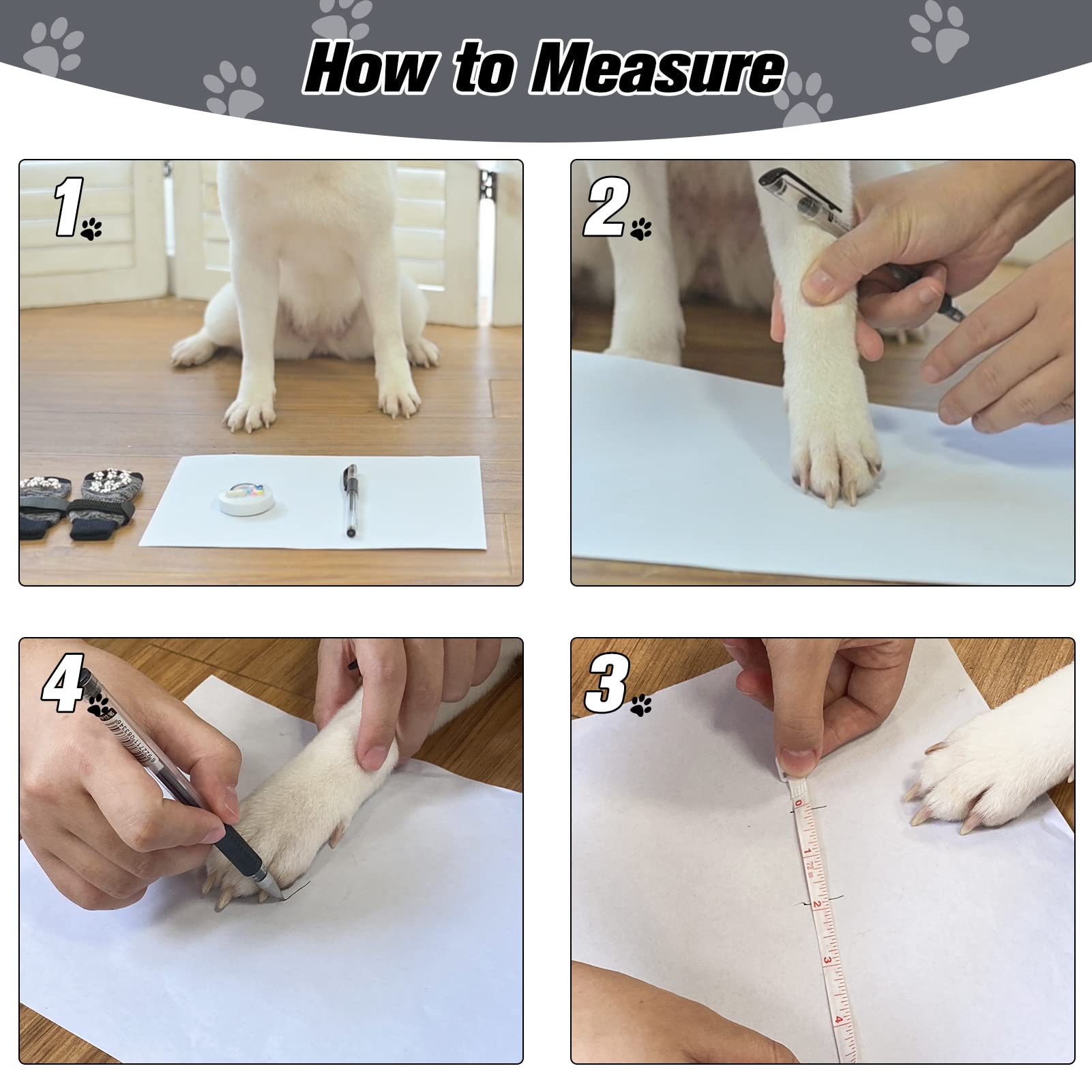 EXPAWLORER adjustable magic tape strap ensures secure, customizable fit