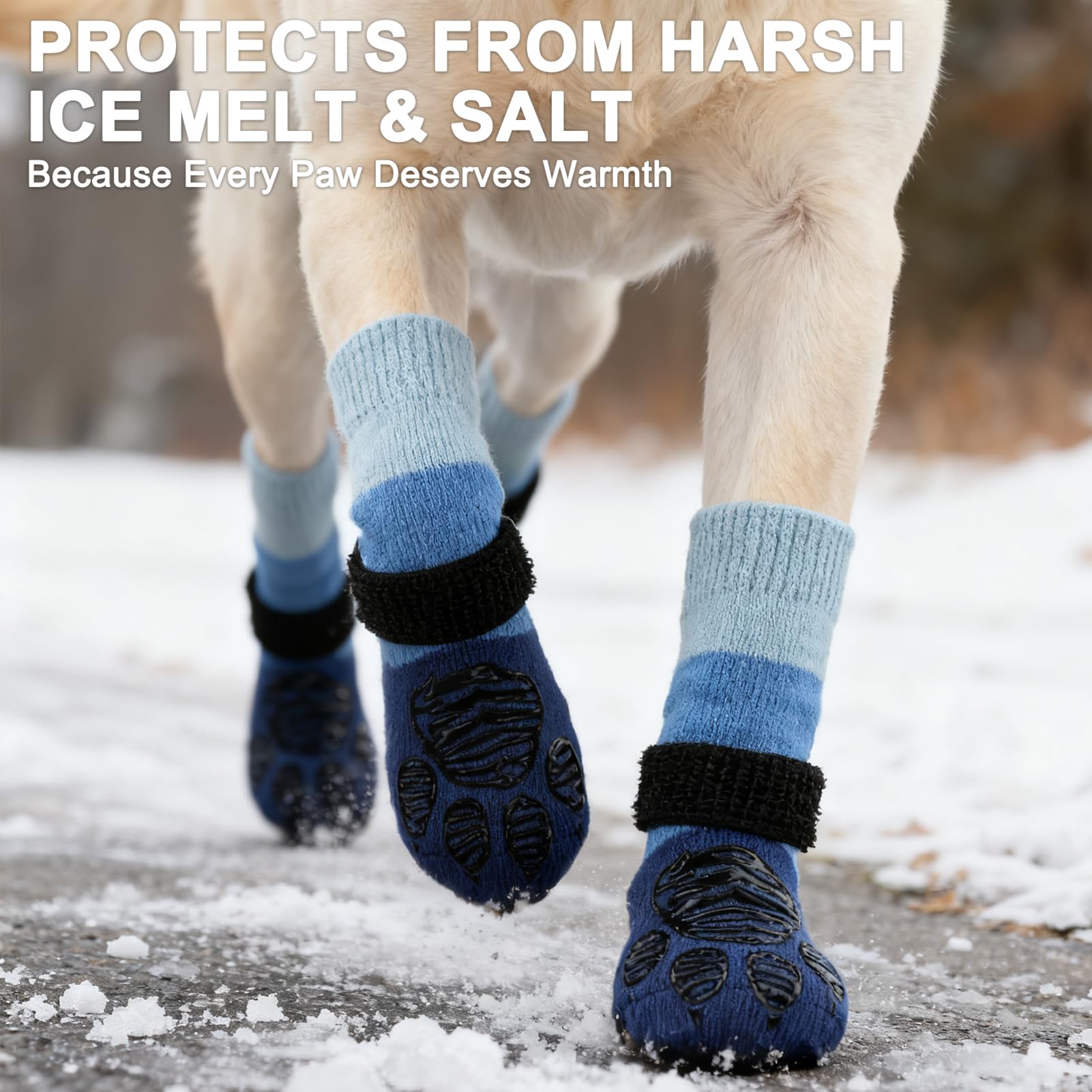 EXPAWLORER dog socks blue inside grip emphasizing anti-slip design