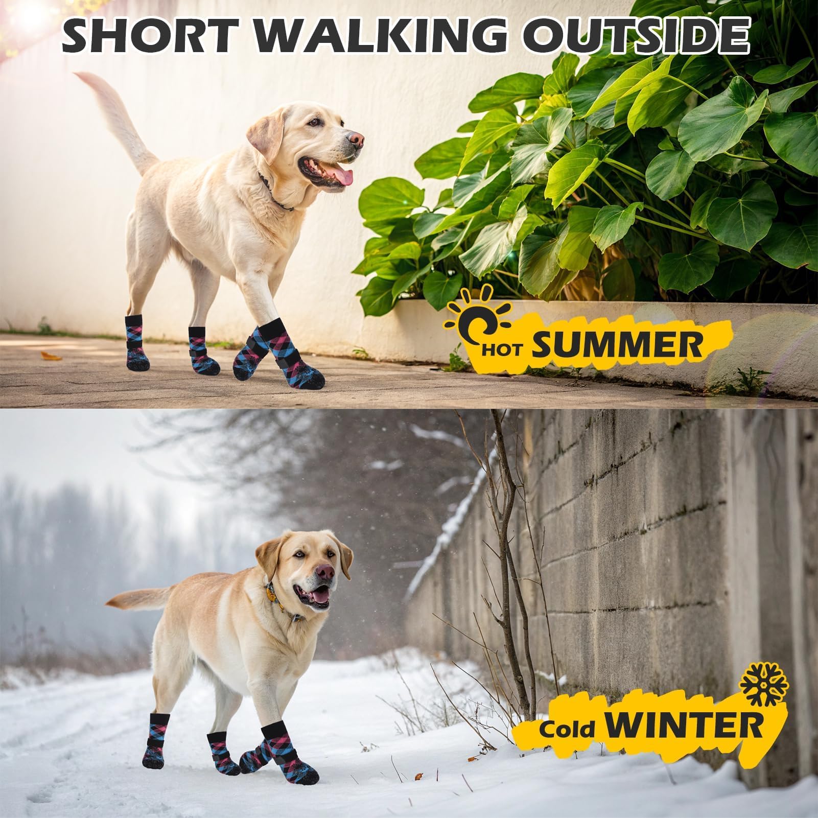 EXPAWLORER dog socks in pink or blue provide stylish color options.