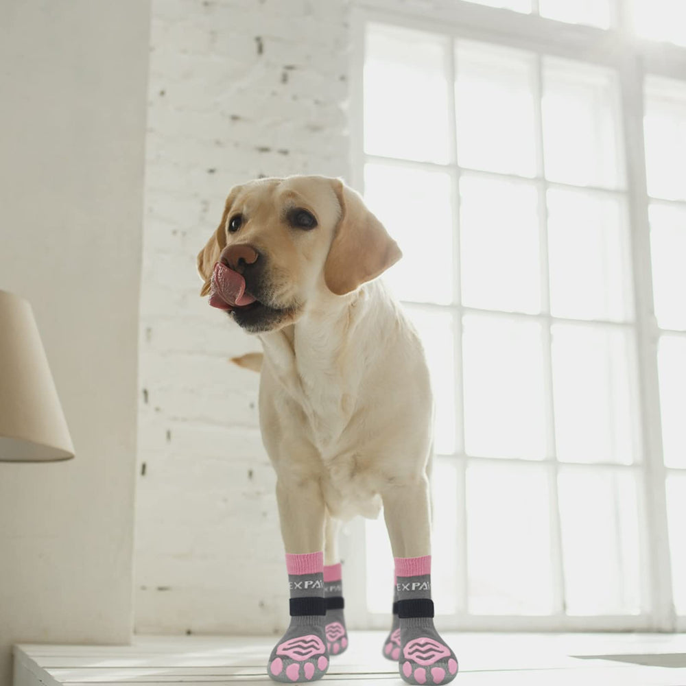 EXPAWLORER dog booties on paw showing secure fit and flexibility.