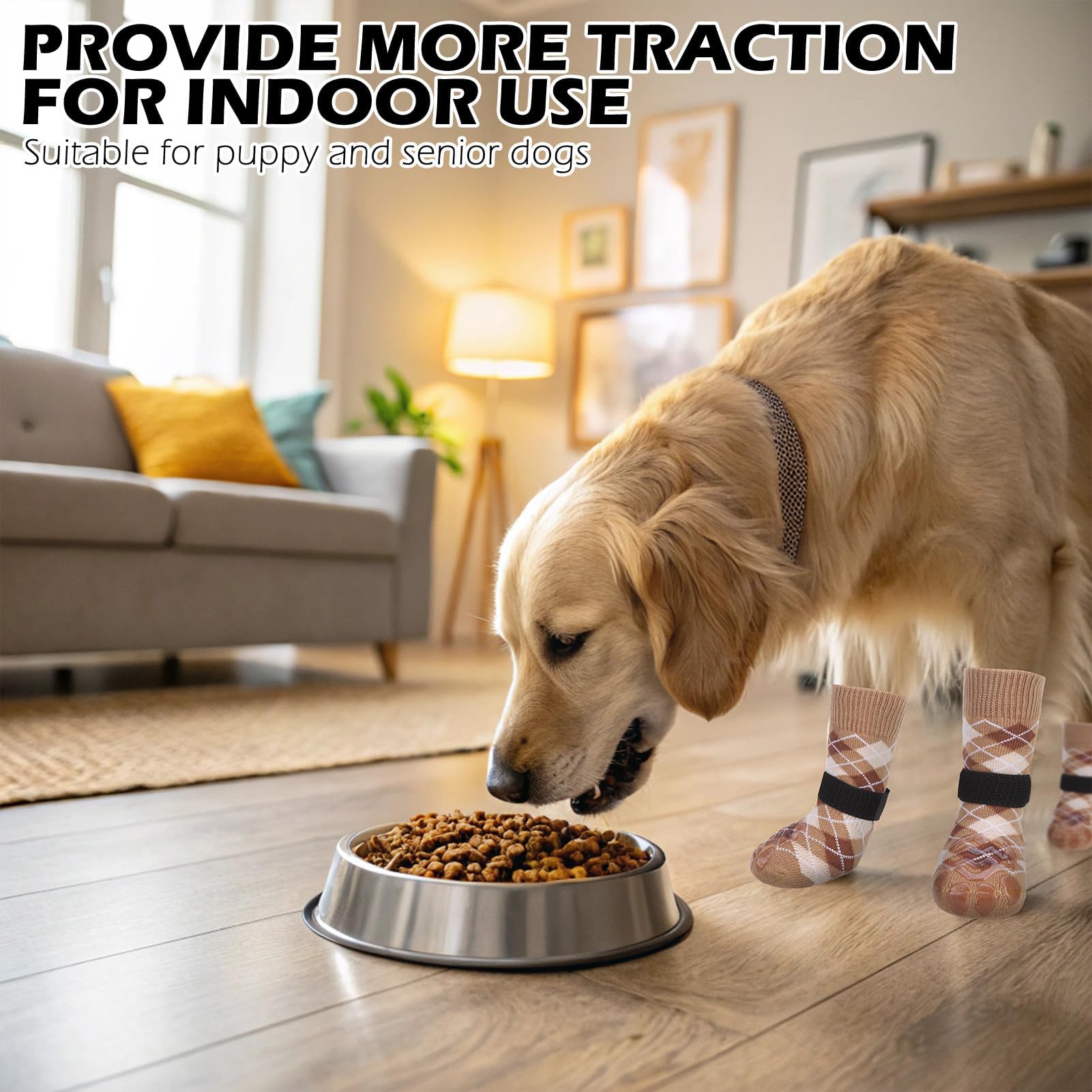 EXPAWLORER British-style design combines fashion with practical paw protection.