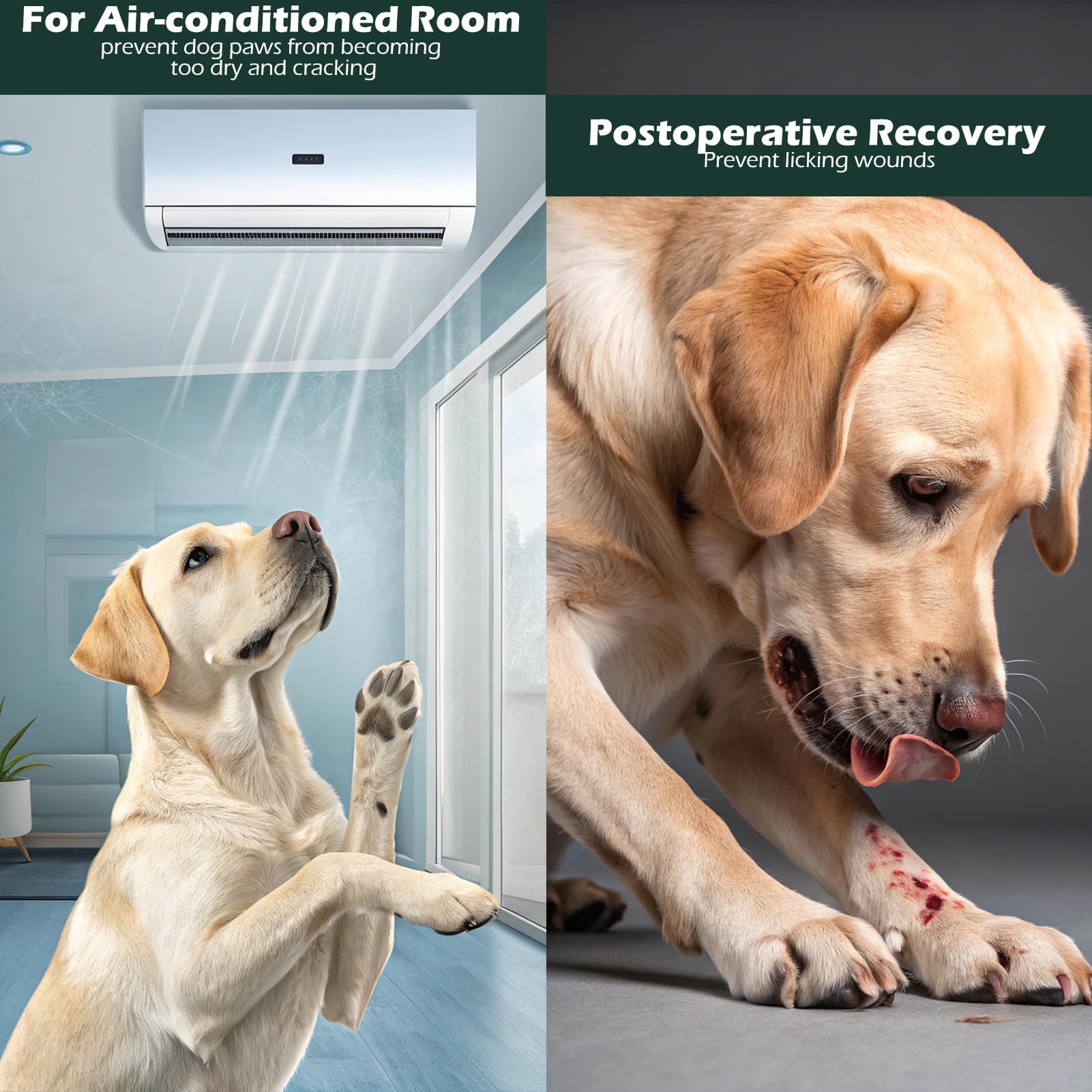 EXPAWLORER interior cuff design with elastic for snug fit