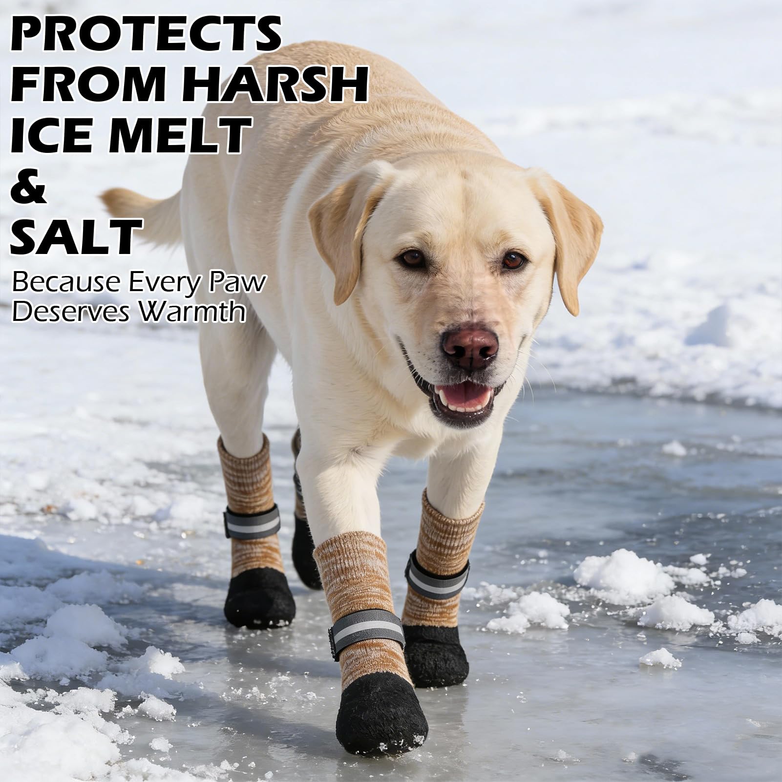 EXPAWLORER anti-slip dog socks on snow illustrate all-season paw protection.