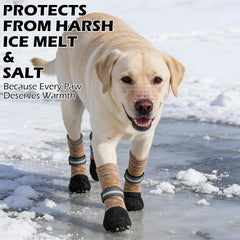 EXPAWLORER anti-slip dog socks on snow illustrate all-season paw protection.
