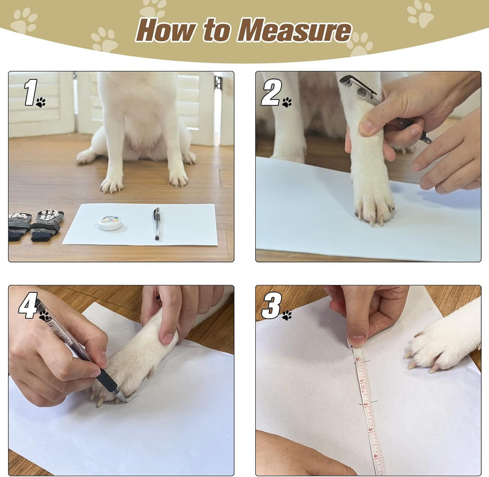 EXPAWLORER dog socks on wood-floor image shows steadier steps and safety
