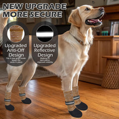 EXPAWLORER anti-slip dog socks on hardwood floors improve stability for older dogs.