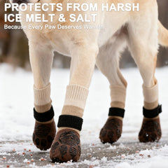 EXPAWLORER dog socks used outdoors for safe grip on walks