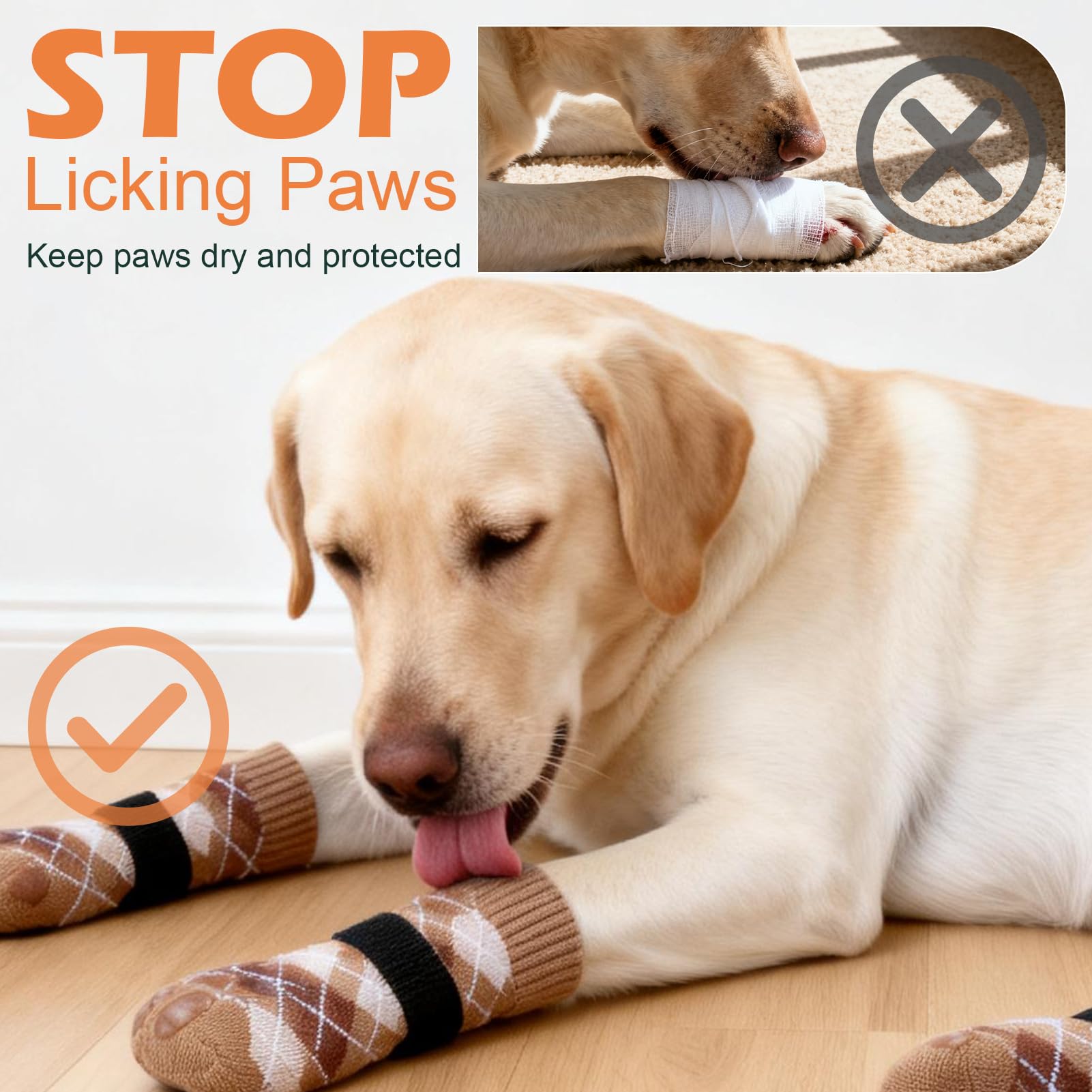 EXPAWLORER dog booties add stability for senior dogs on walks.