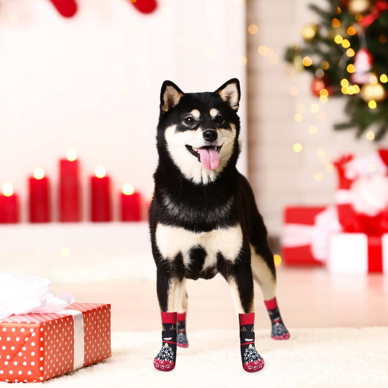 EXPAWLORER dog socks six-pair packaging ensures ready replacements.