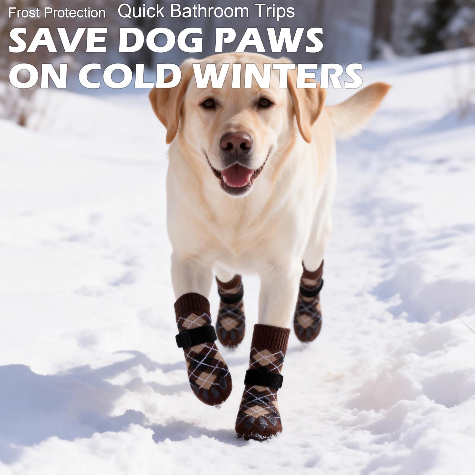 EXPAWLORER dog-socks upgraded-anti-fall with detachable-strap for secure fit.