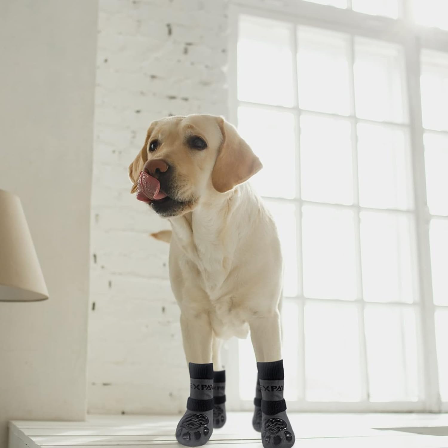 EXPAWLORER dog socks easy-care design allows quick washing after adventures.
