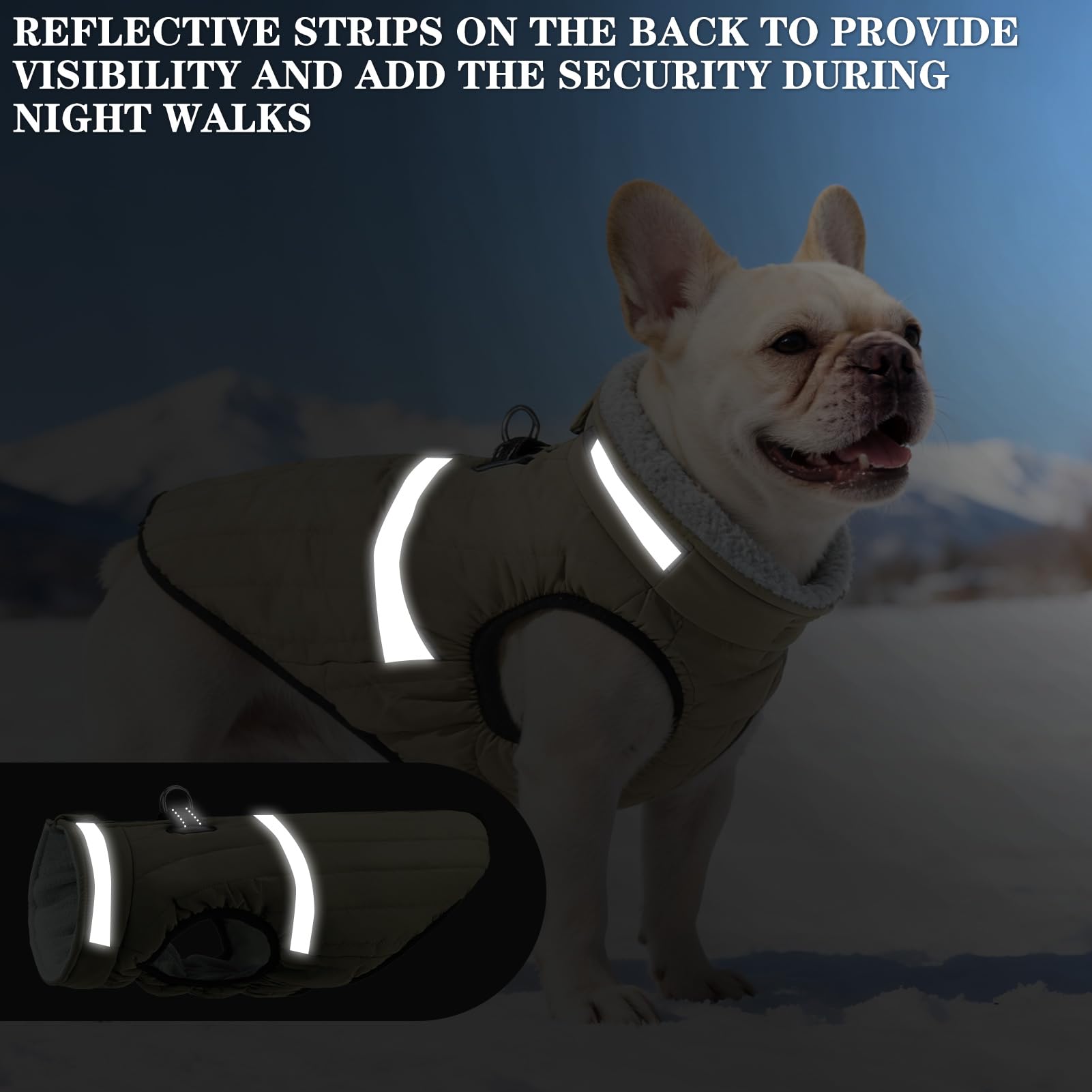 EXPAWLORER dog winter coat green D-ring allows leash attachment