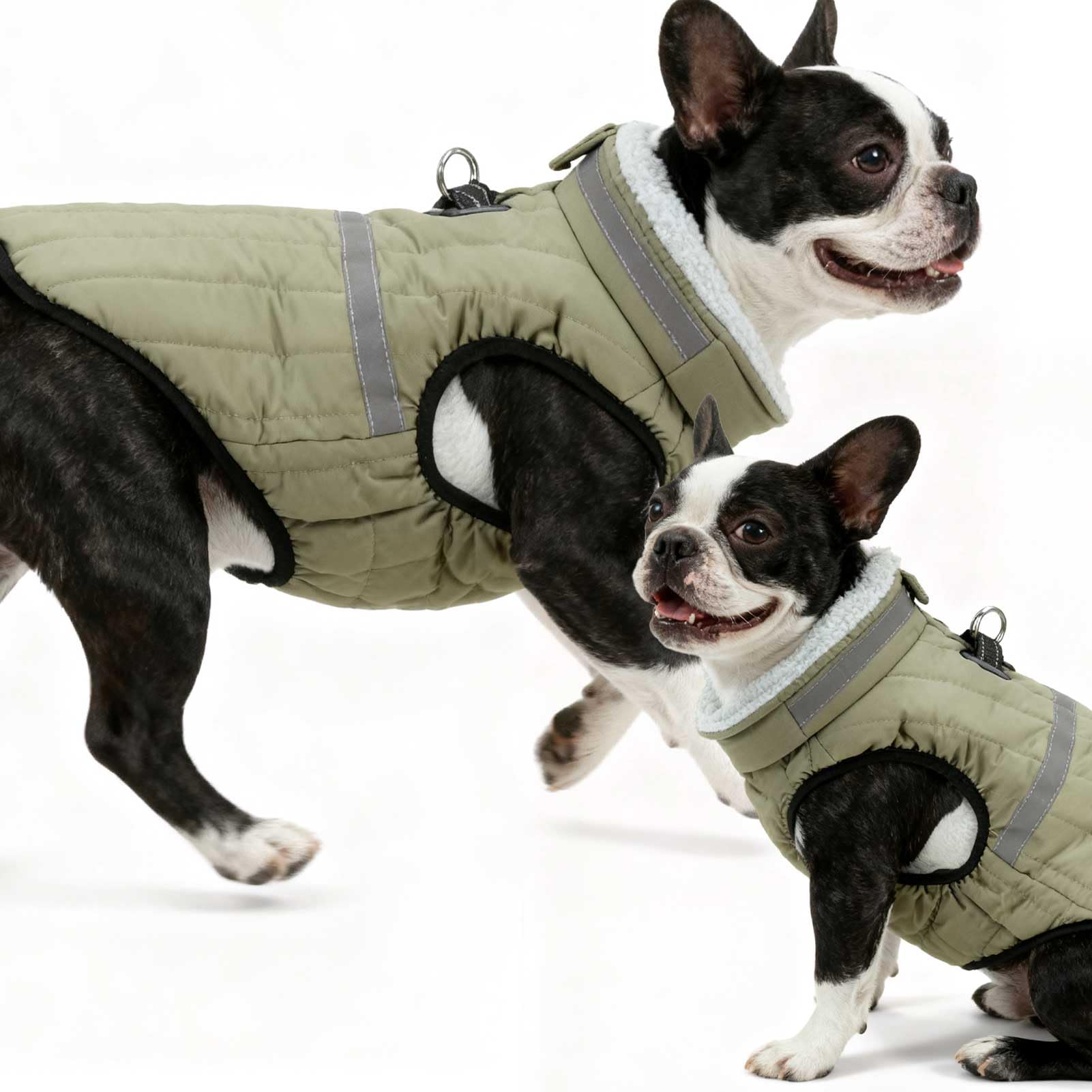 EXPAWLORER dog winter coat green machine-washable design for easy care