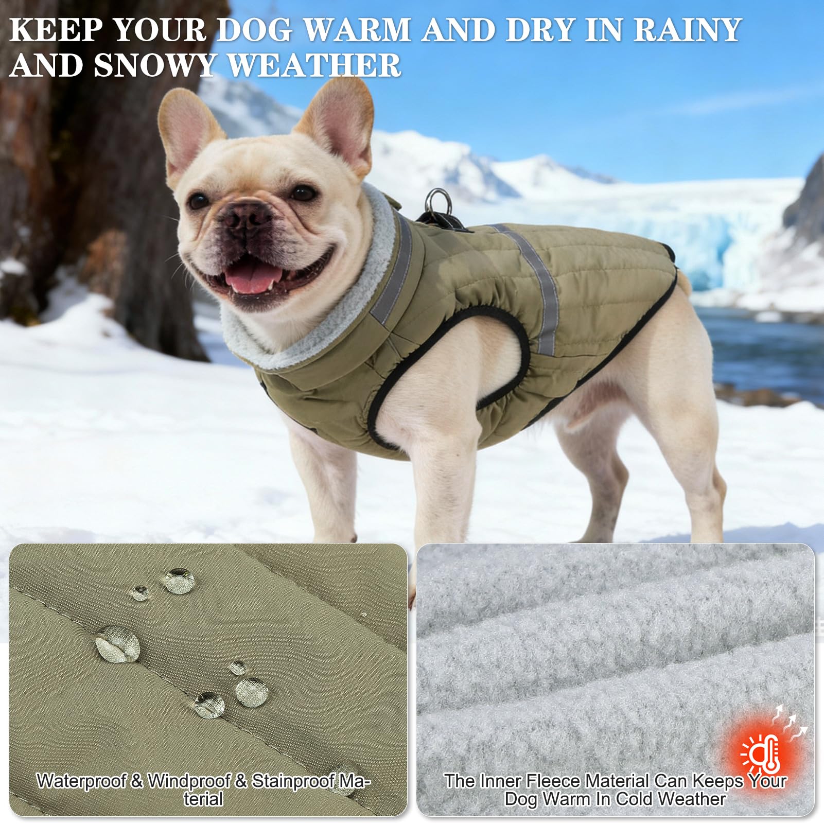 EXPAWLORER dog winter coat green side wear for daily outings