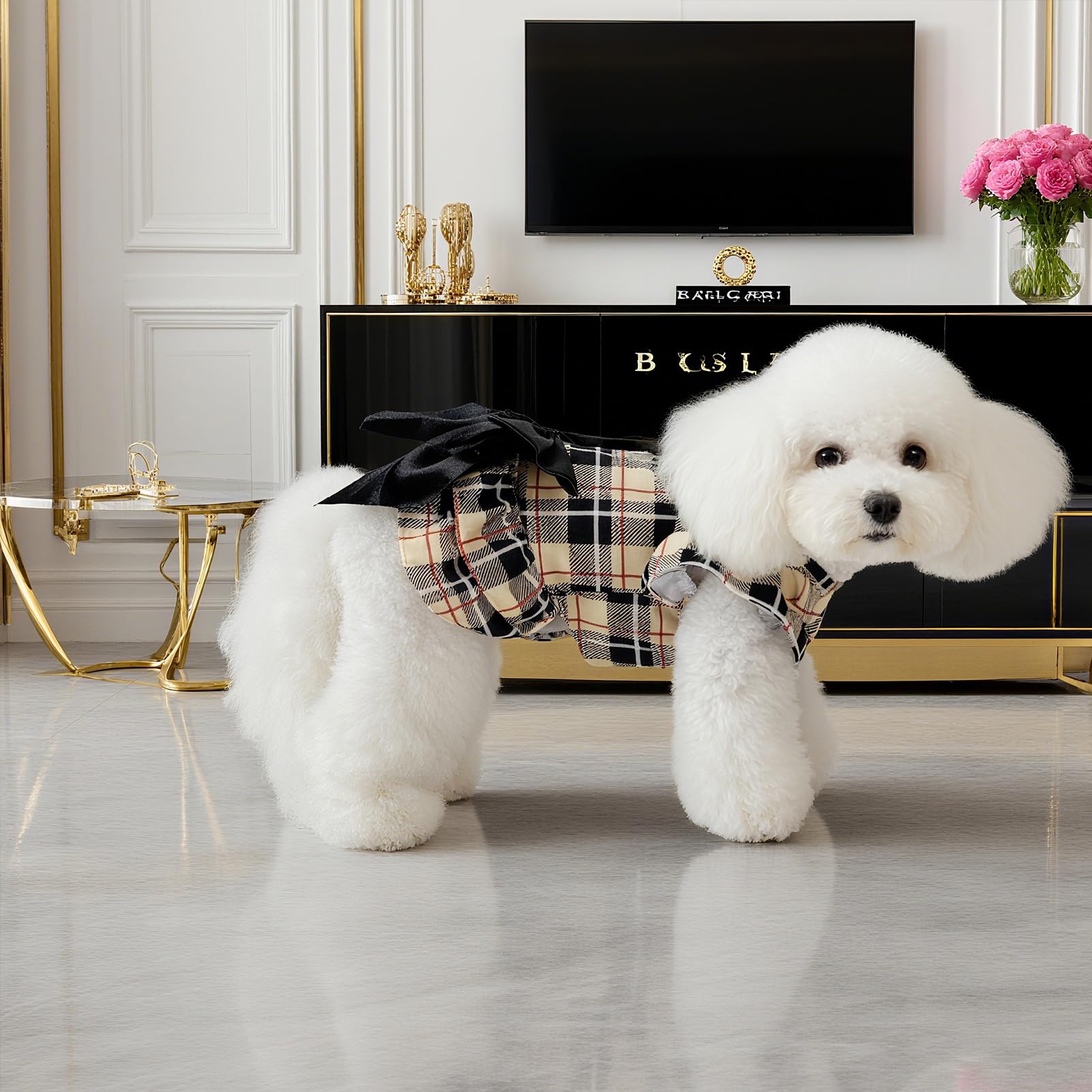 EXPAWLORER outfit versátil para interiores o exteriores