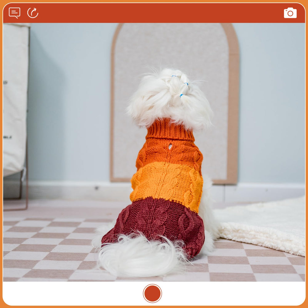 EXPAWLORER puppy sweater easy on-off design for quick dressing