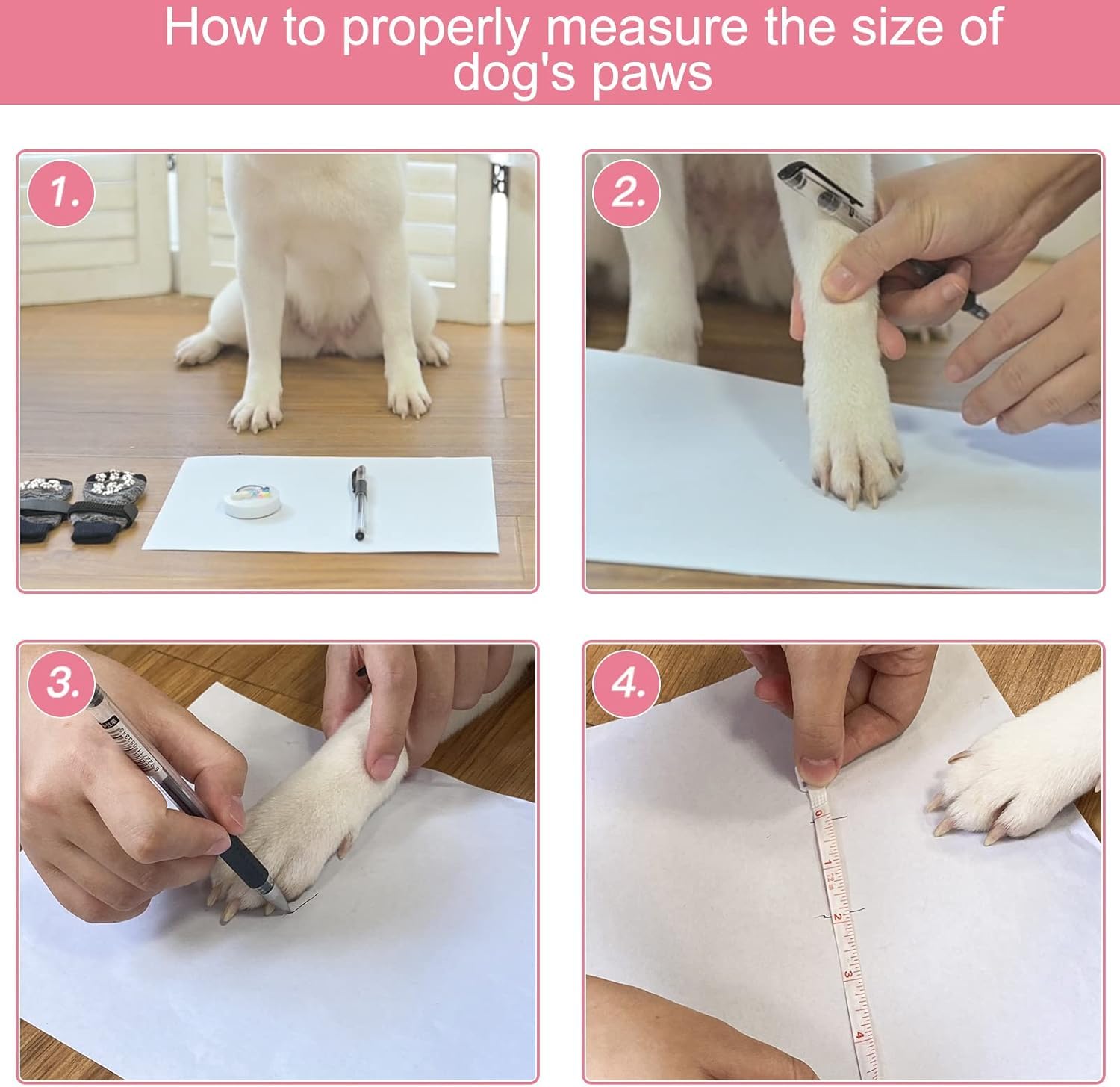 Expawlorer easy-remove elastic straps illustrate a secure, adjustable fit that stays in place.