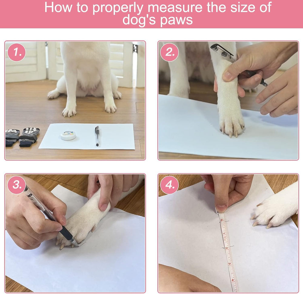 Expawlorer easy-remove elastic straps illustrate a secure, adjustable fit that stays in place.