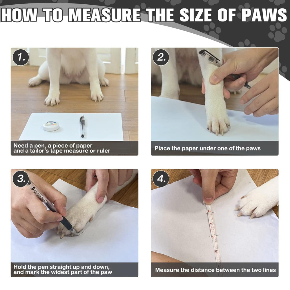 Expawlorer envío de 6 pares, solución lista para el hogar.