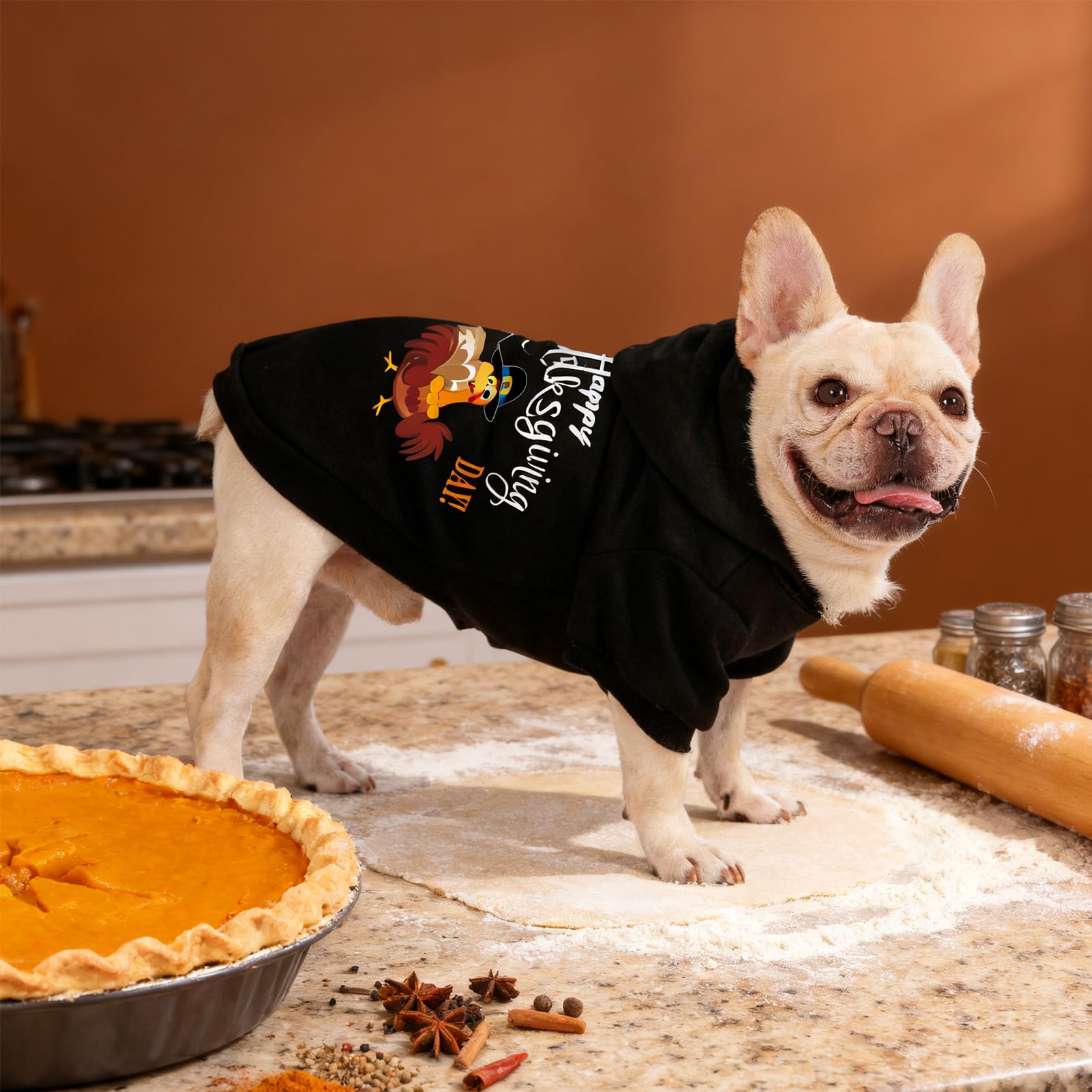 EXPAWLORER fall dog hoodie model wearing festive fashion.