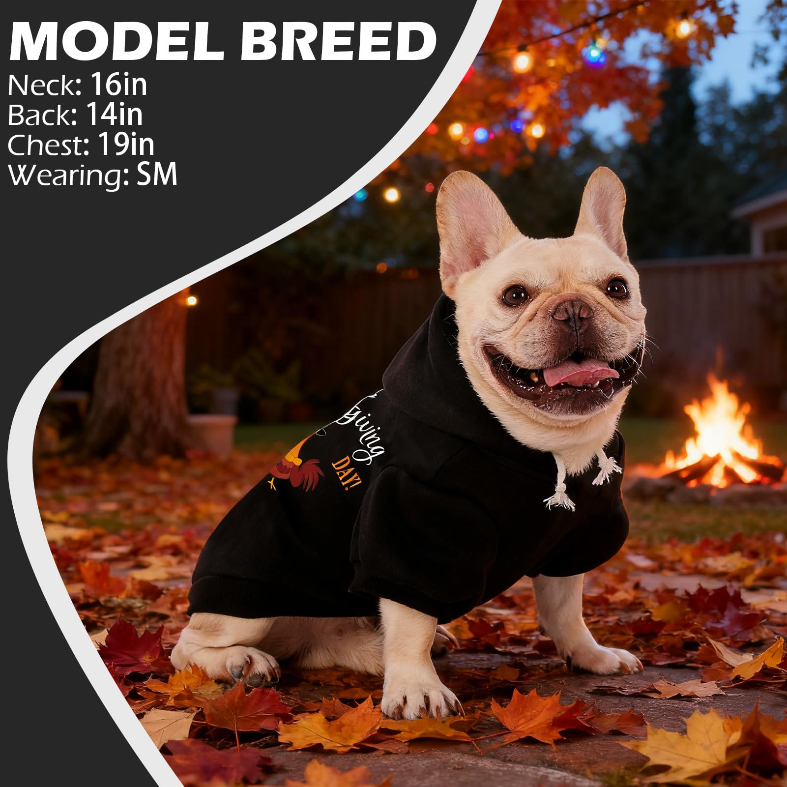 EXPAWLORER fall dog hoodie on puppy indoors for cozy lounging.