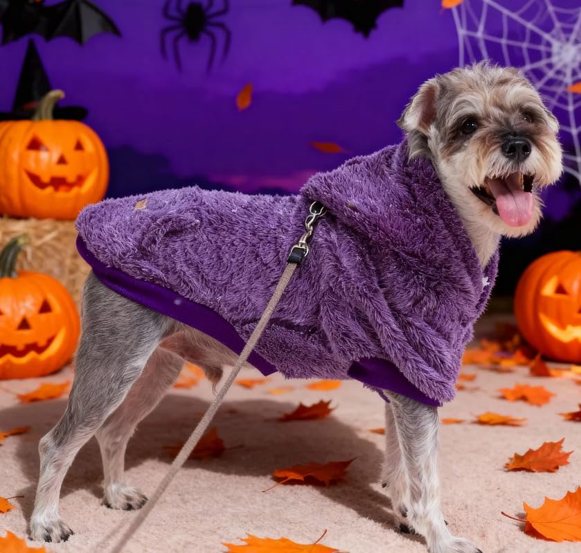 EXPAWLORER fuzzy dog sweater purple XL back view highlights snug warmth during outdoor strolls.
