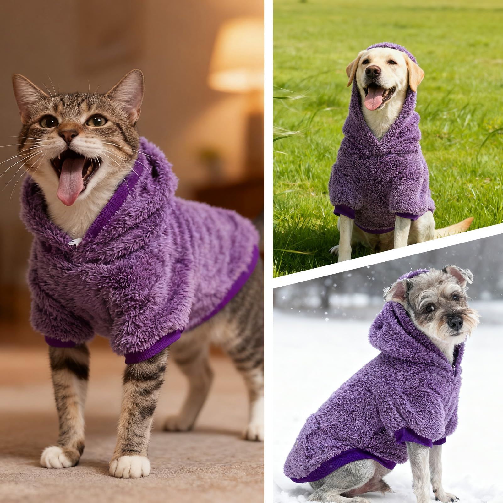 EXPAWLORER size XL fits larger breeds with neck 23, chest 34, back 24 inches.