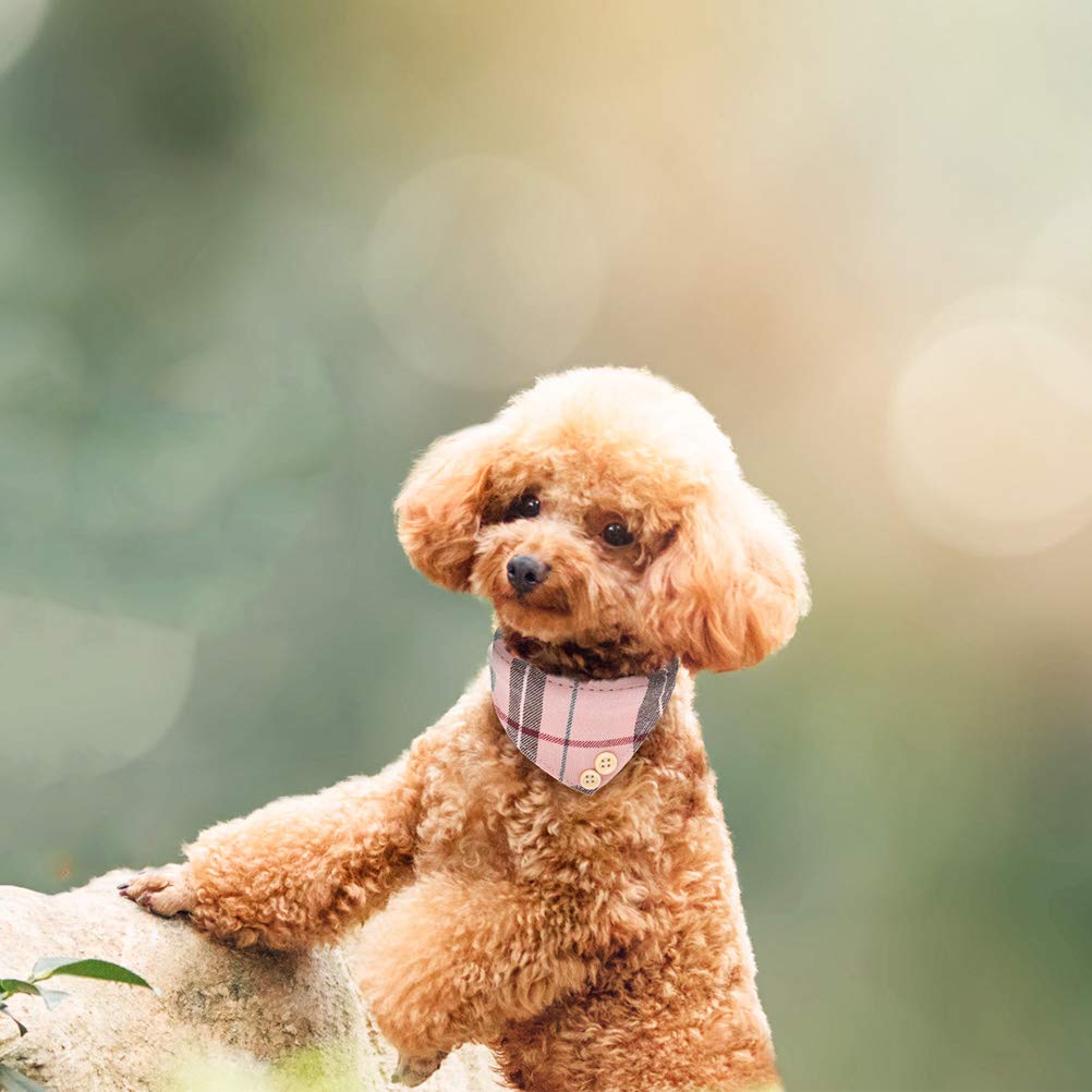 EXPAWLORER gift-ready packaging for pet lovers