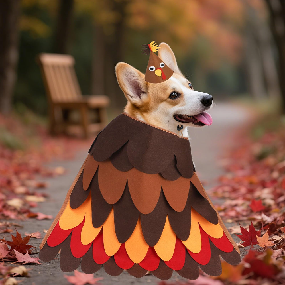 expawlorer holiday costume on pets makes photo-ready moments