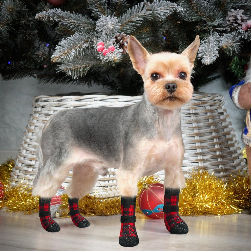 EXPAWLORER indoor-use socks ideal for brief outdoor trips.