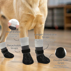 EXPAWLORER measurement guide image showing paw width and length