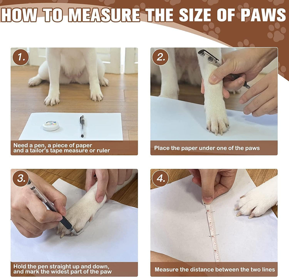 EXPAWLORER pack seis pares en colores variados para perros.