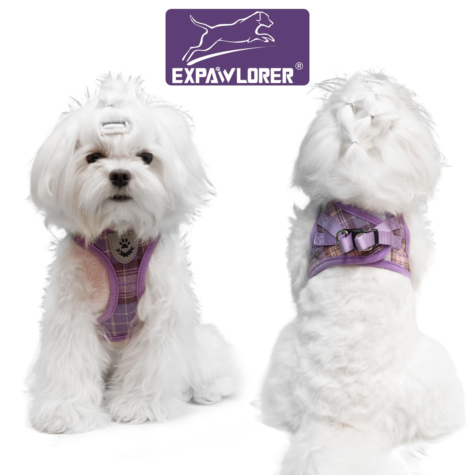 EXPAWLORER padded-airmesh-harness breathable comfort during walks