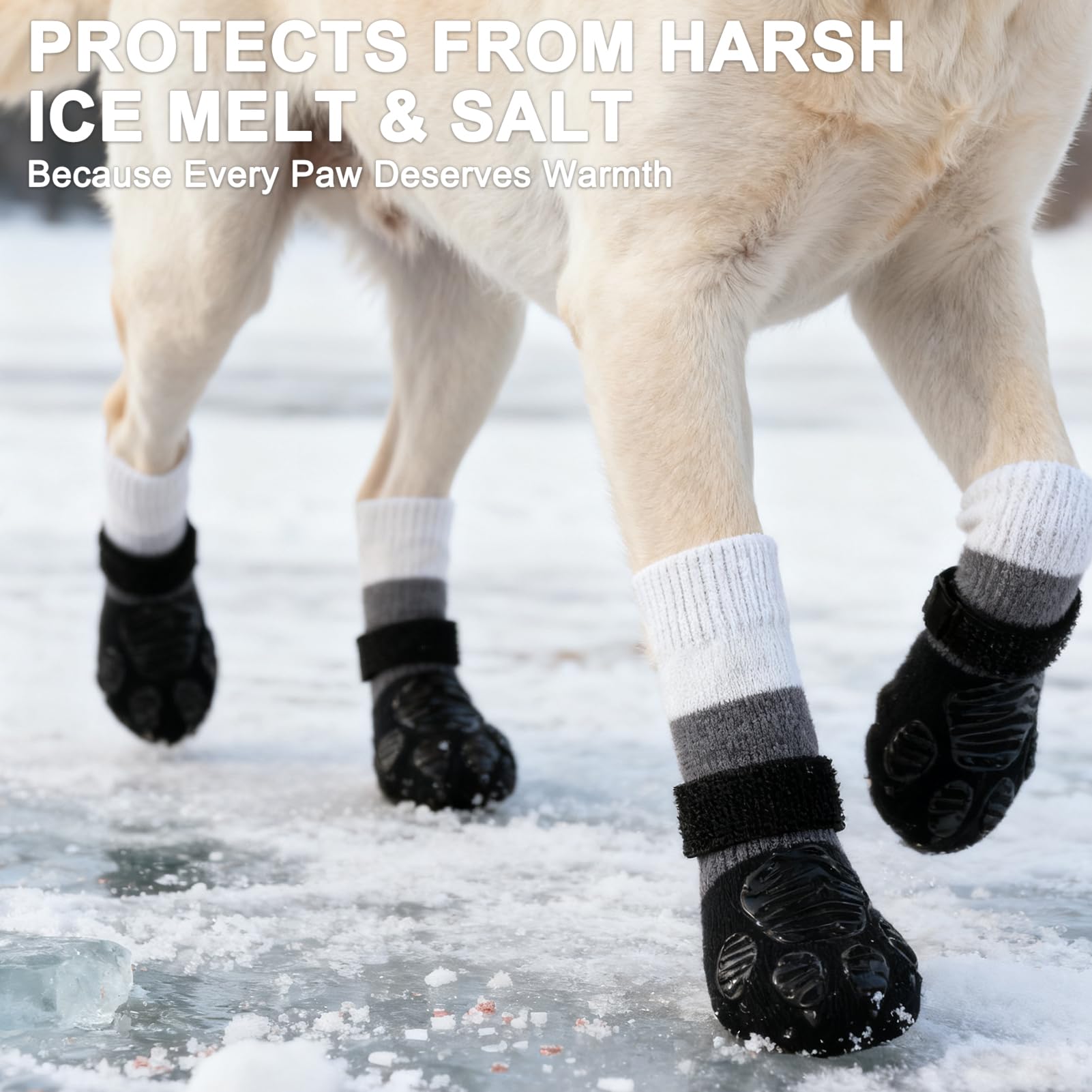 EXPAWLORER paw protectors on a dog wearing socks during cold winter