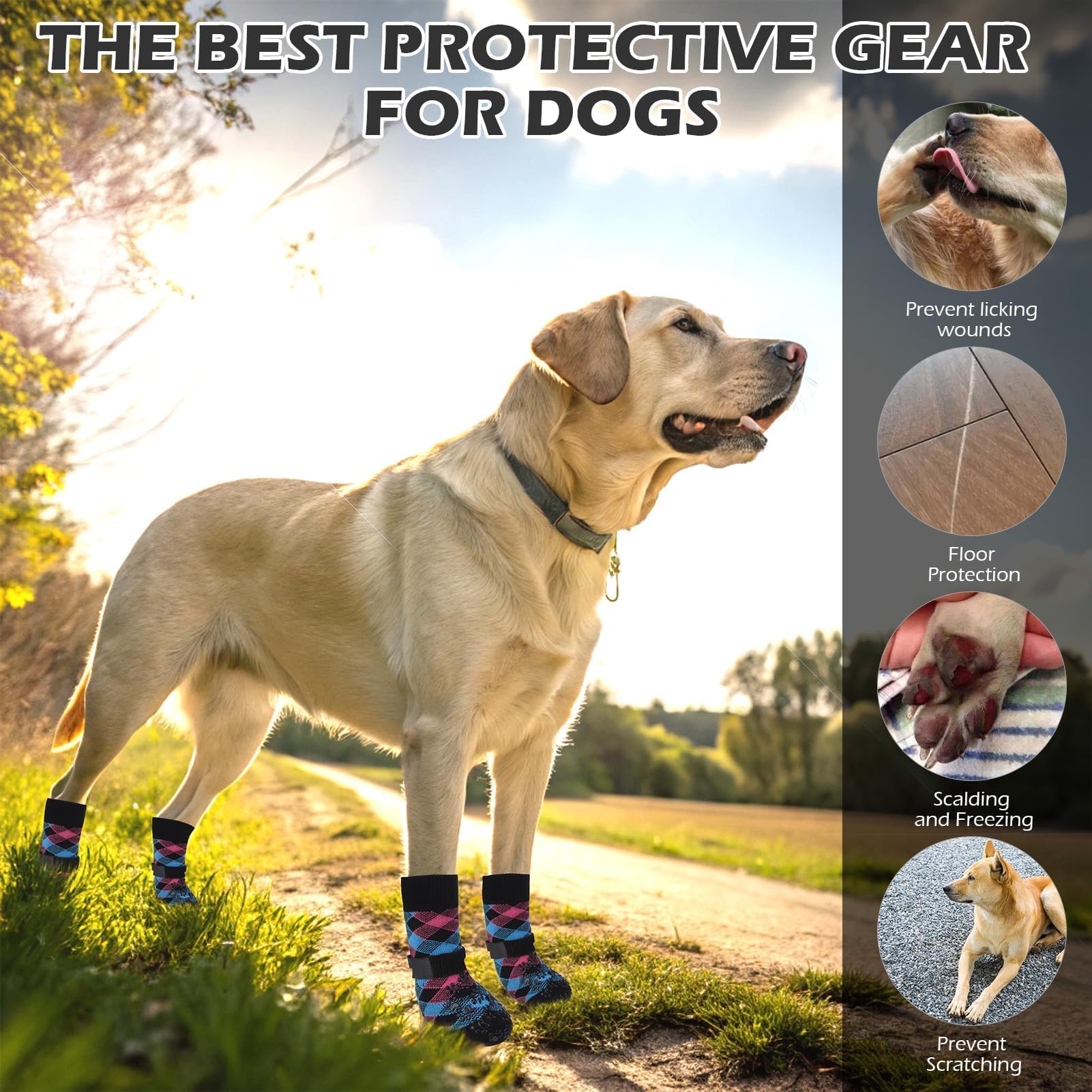 EXPAWLORER paw socks reduce paw licking and offer paw protection.