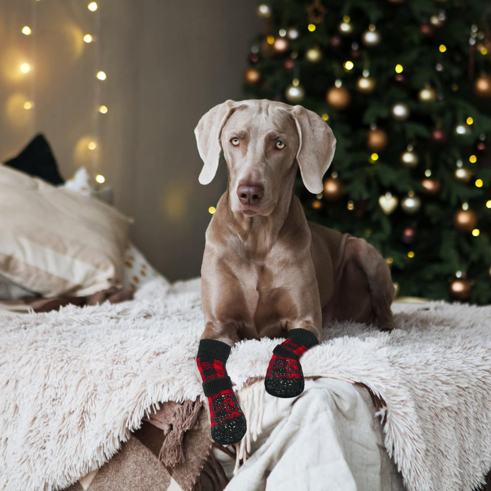 EXPAWLORER paw socks help reduce licking distractions around wounds.