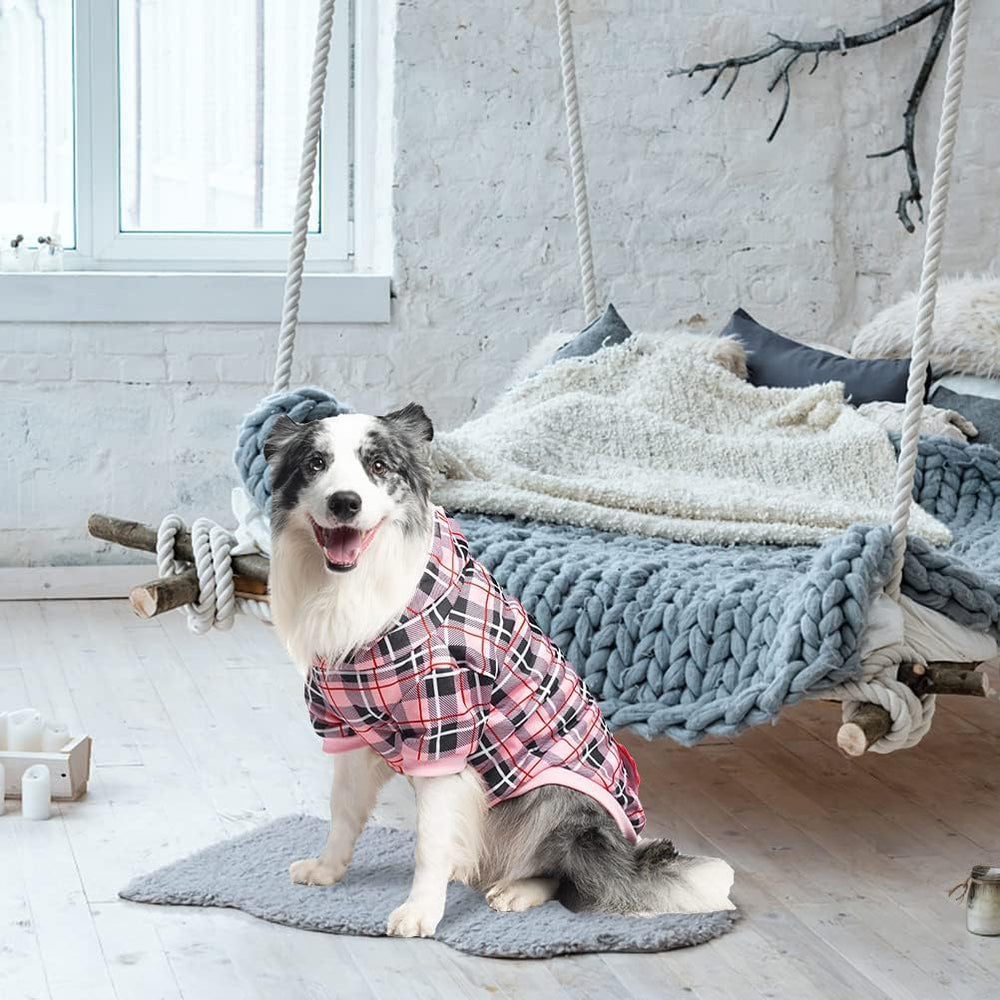 EXPAWLORER pink large model wearing for everyday wear