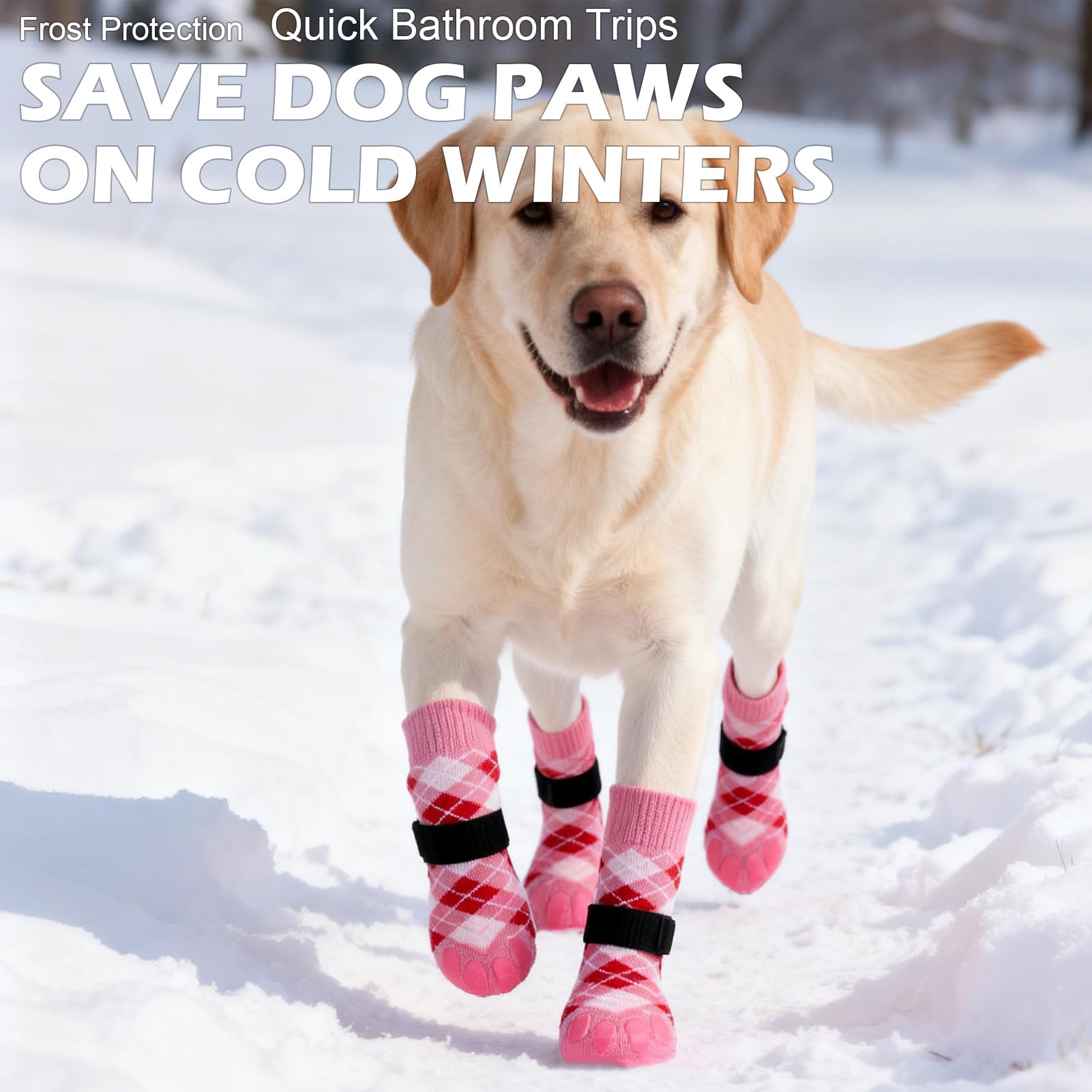 EXPAWLORER pink dog socks anti-slip pattern supports confident indoor activities.