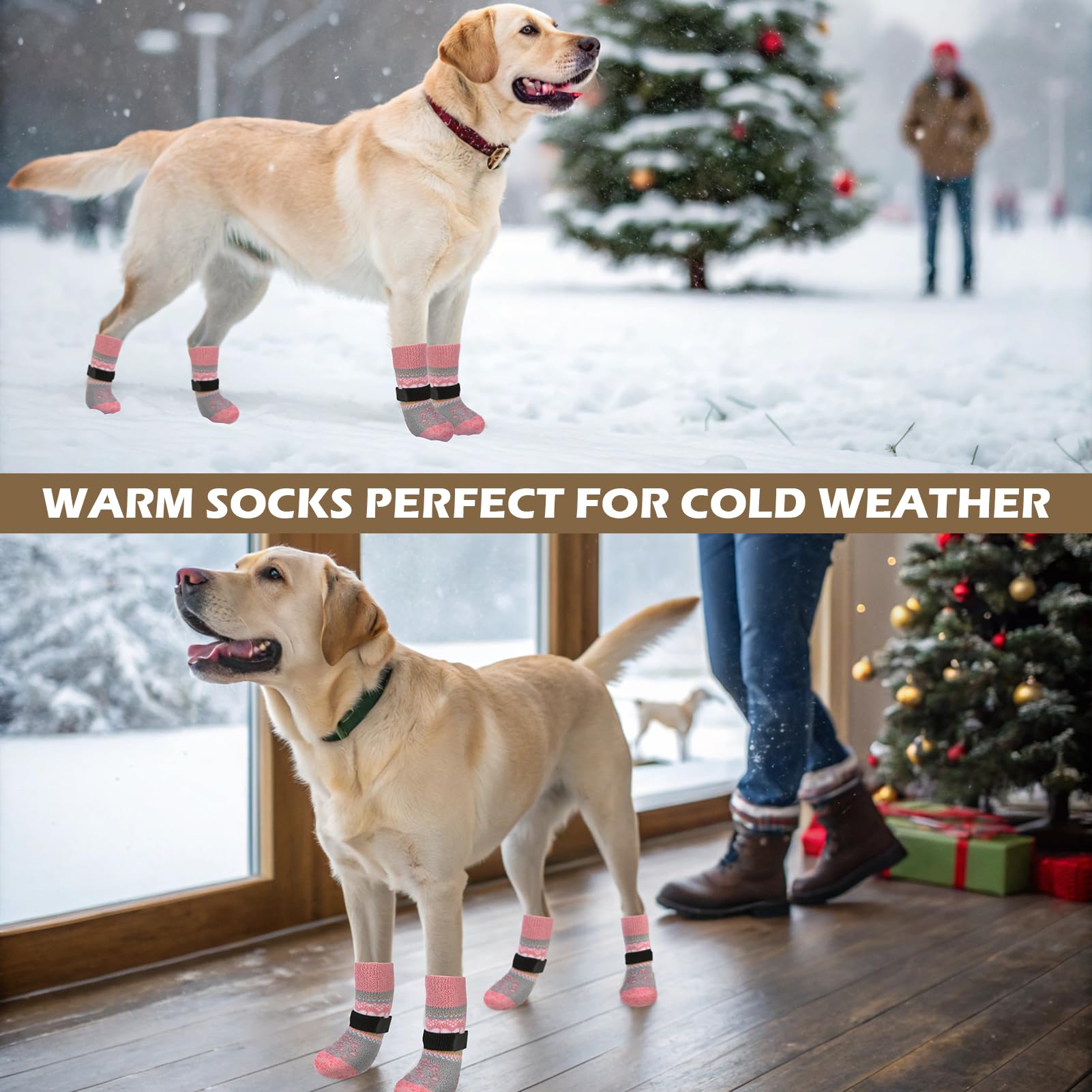 EXPAWLORER pink L dog boots on hardwood floors for seniors.
