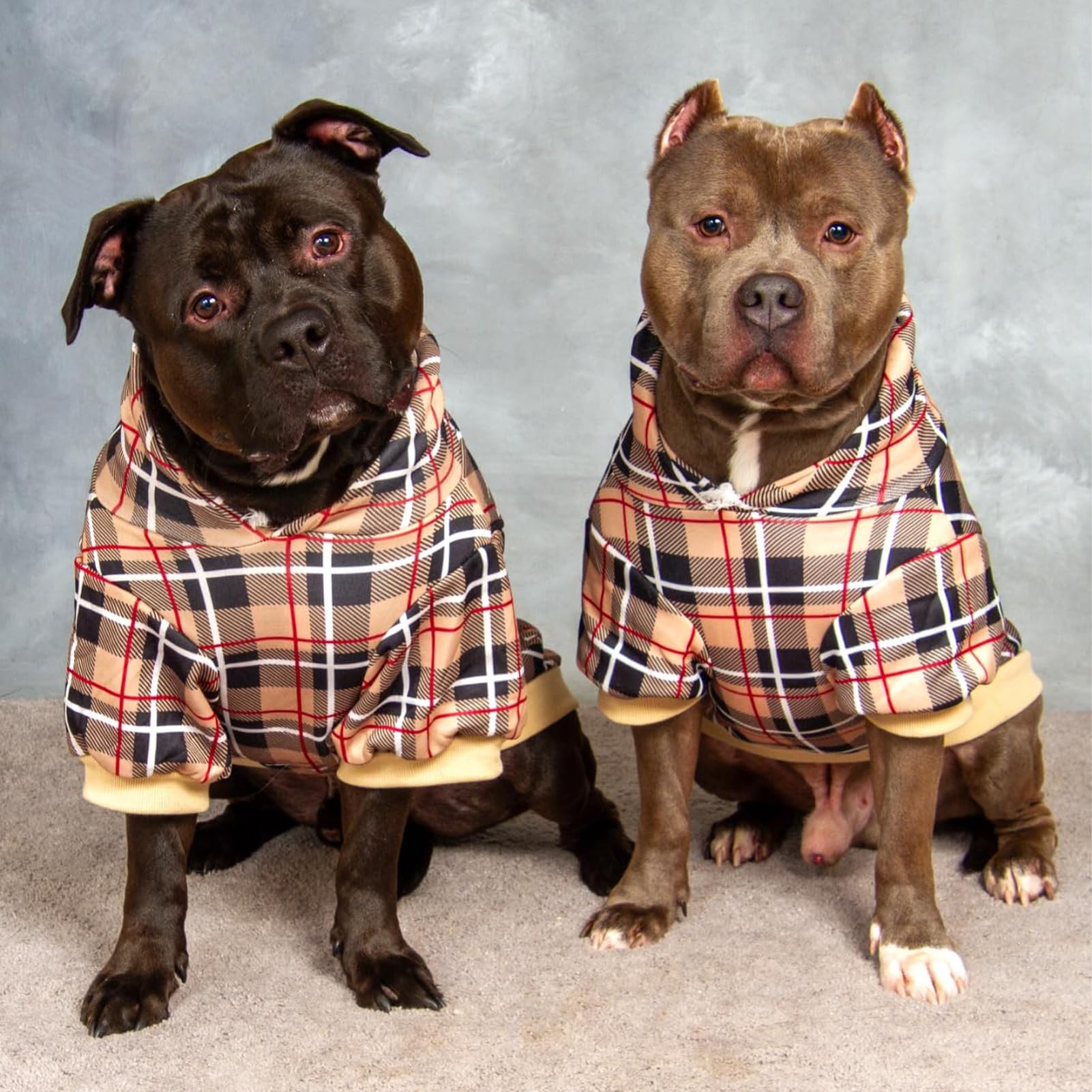 EXPAWLORER plaid dog hoodie color and pattern showcase classic tartan for festive looks.