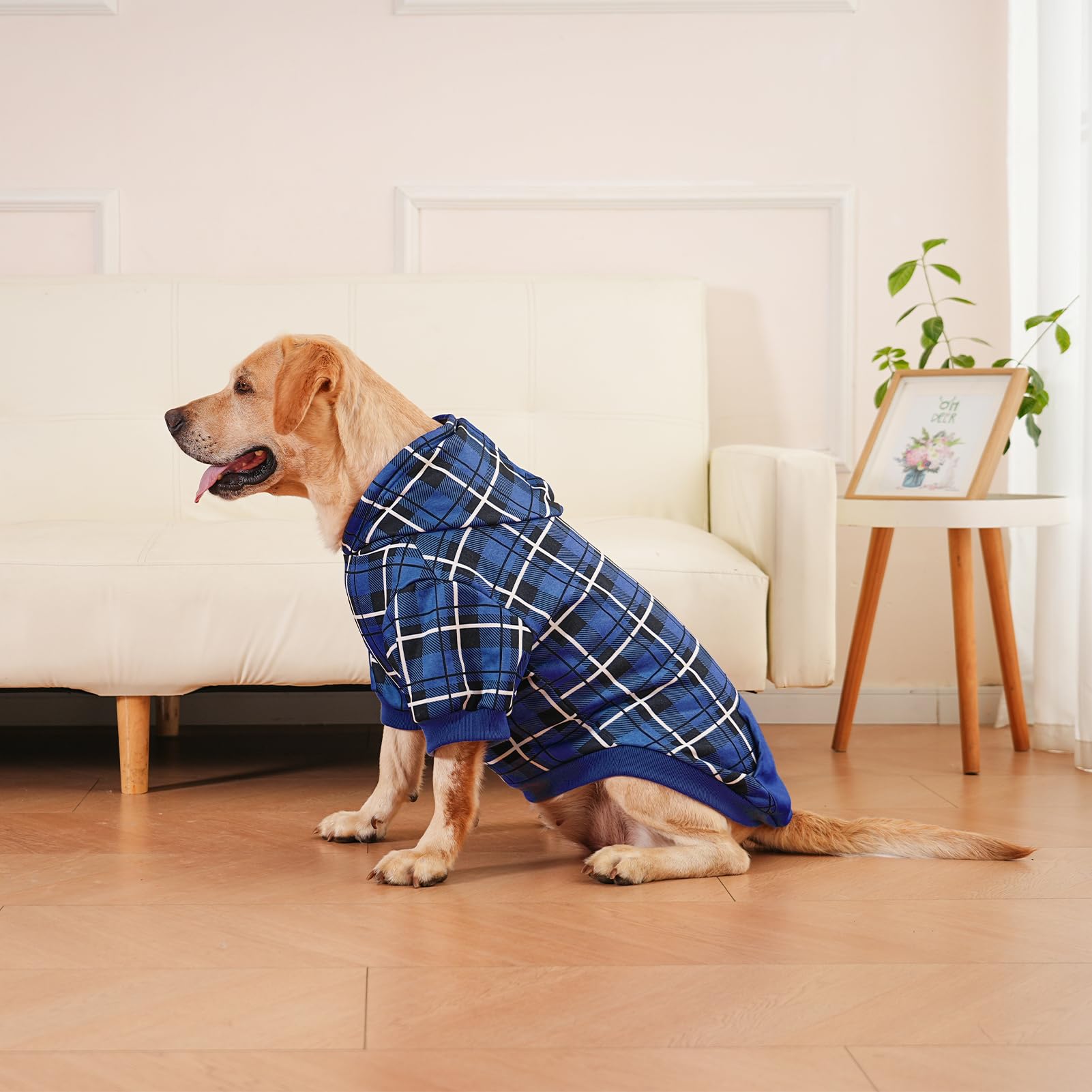 EXPAWLORER Plaid Dog Hoodie durable stitching closeup demonstrates long-lasting construction.
