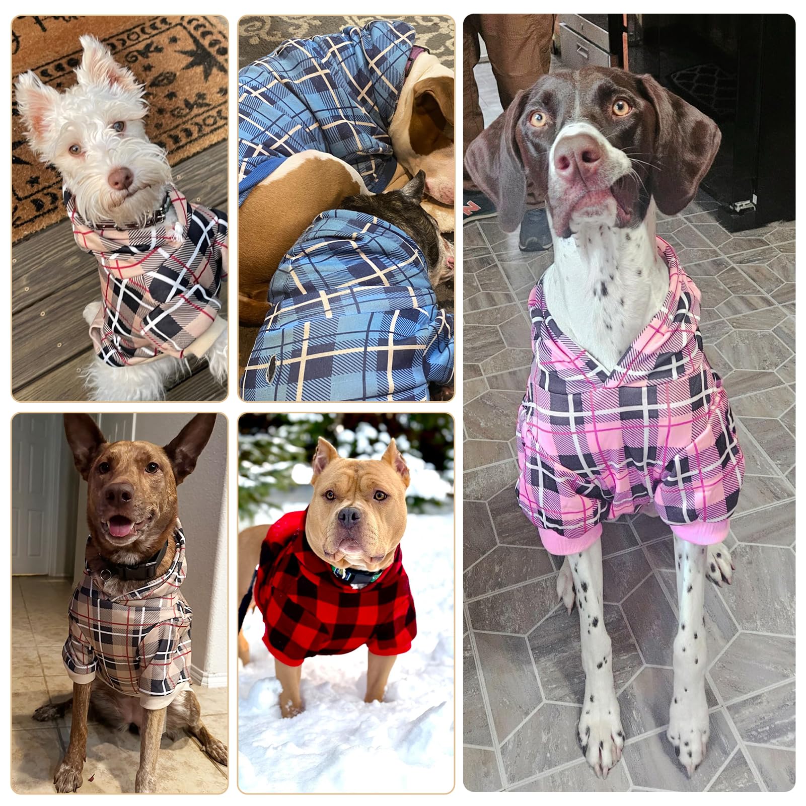 EXPAWLORER Plaid Dog Hoodie on dog in cold weather, ready for outings.