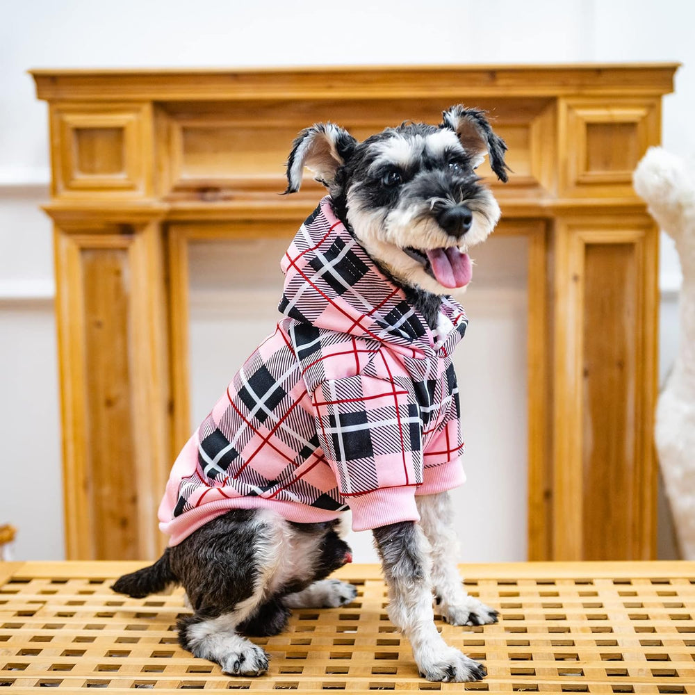 EXPAWLORER plaid dog hoodie pink medium worn by a dog during outdoor walk.