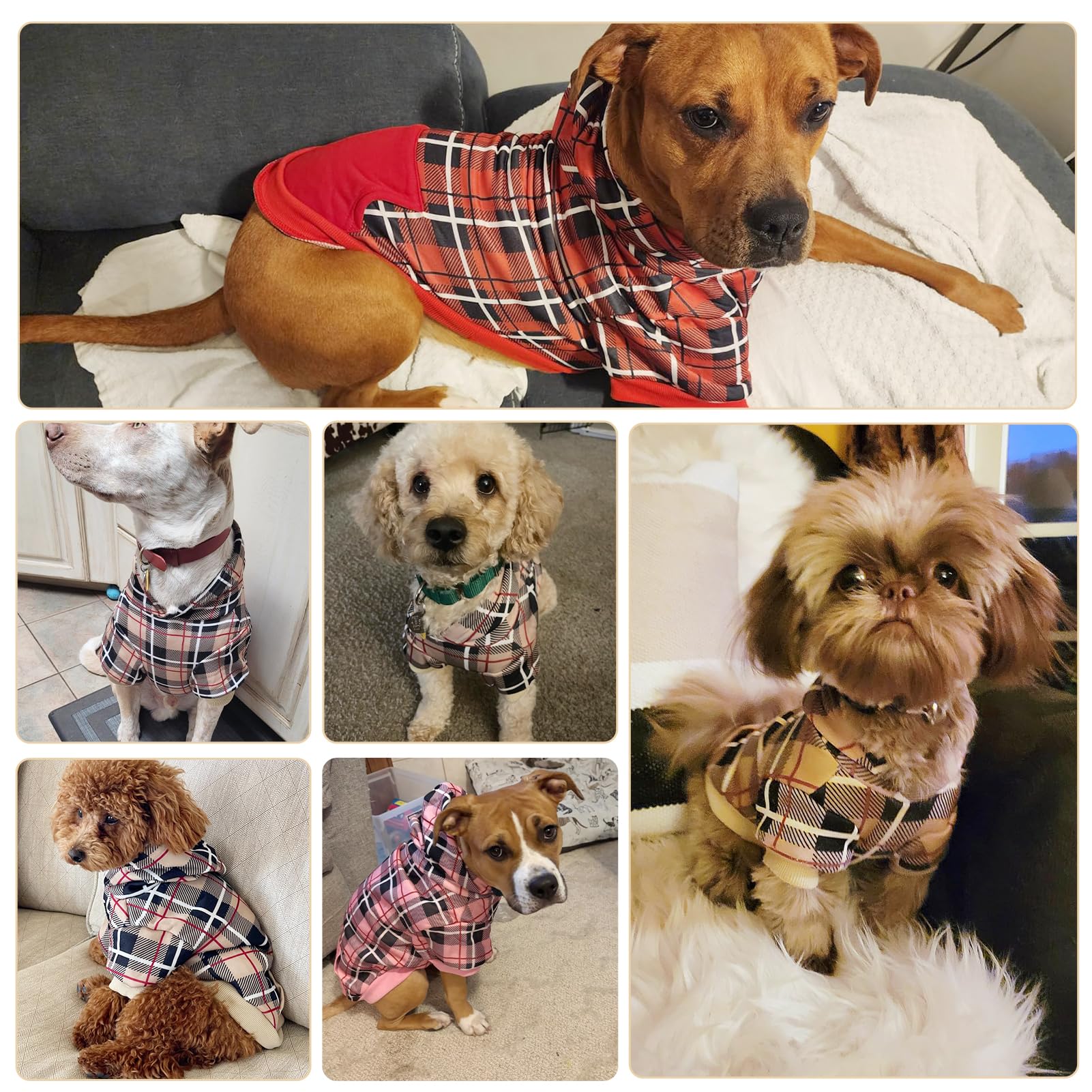 EXPAWLORER plaid dog hoodie size range image shows versatile fit for many breeds