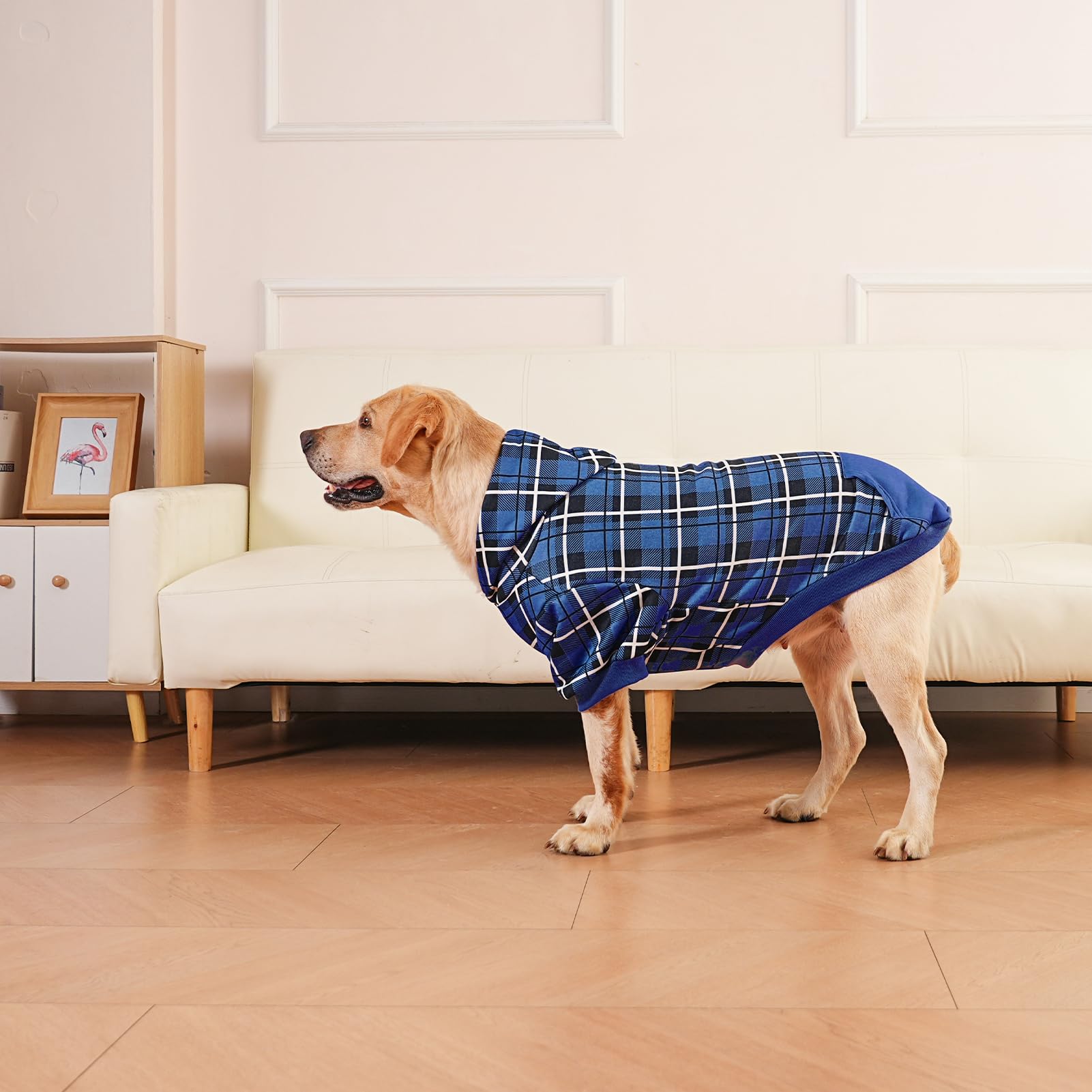 EXPAWLORER Plaid Dog Hoodie worn by a dog on a walk outdoors.