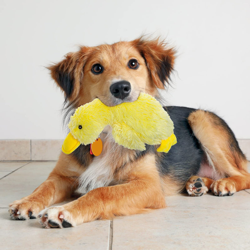 EXPAWLORER Plush Squeaky Duck Toy sparks curiosity as puppies sniff