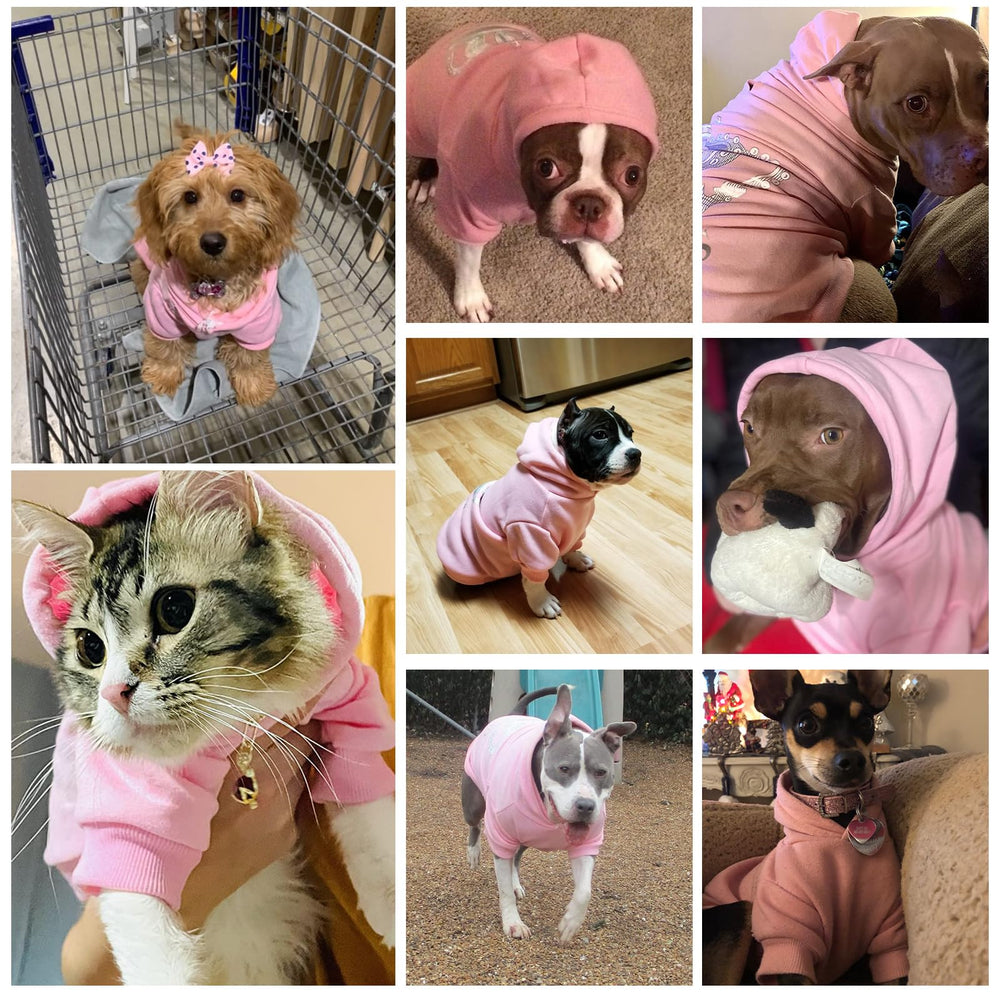 EXPAWLORER Princess hoodie supports safe, comfortable outdoor strolls in cold weather.