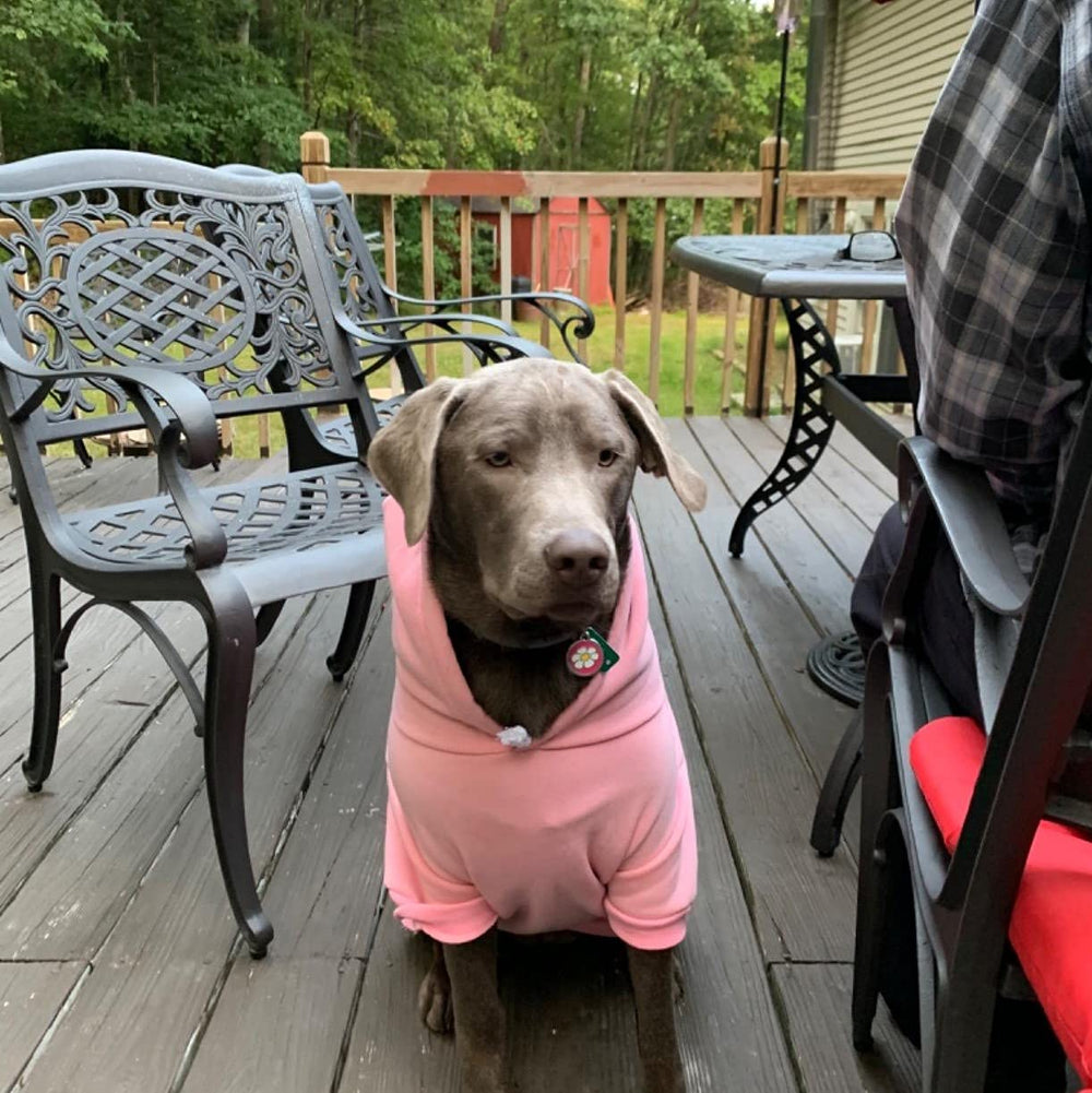 EXPAWLORER Princess hoodie size chart helps find the right fit